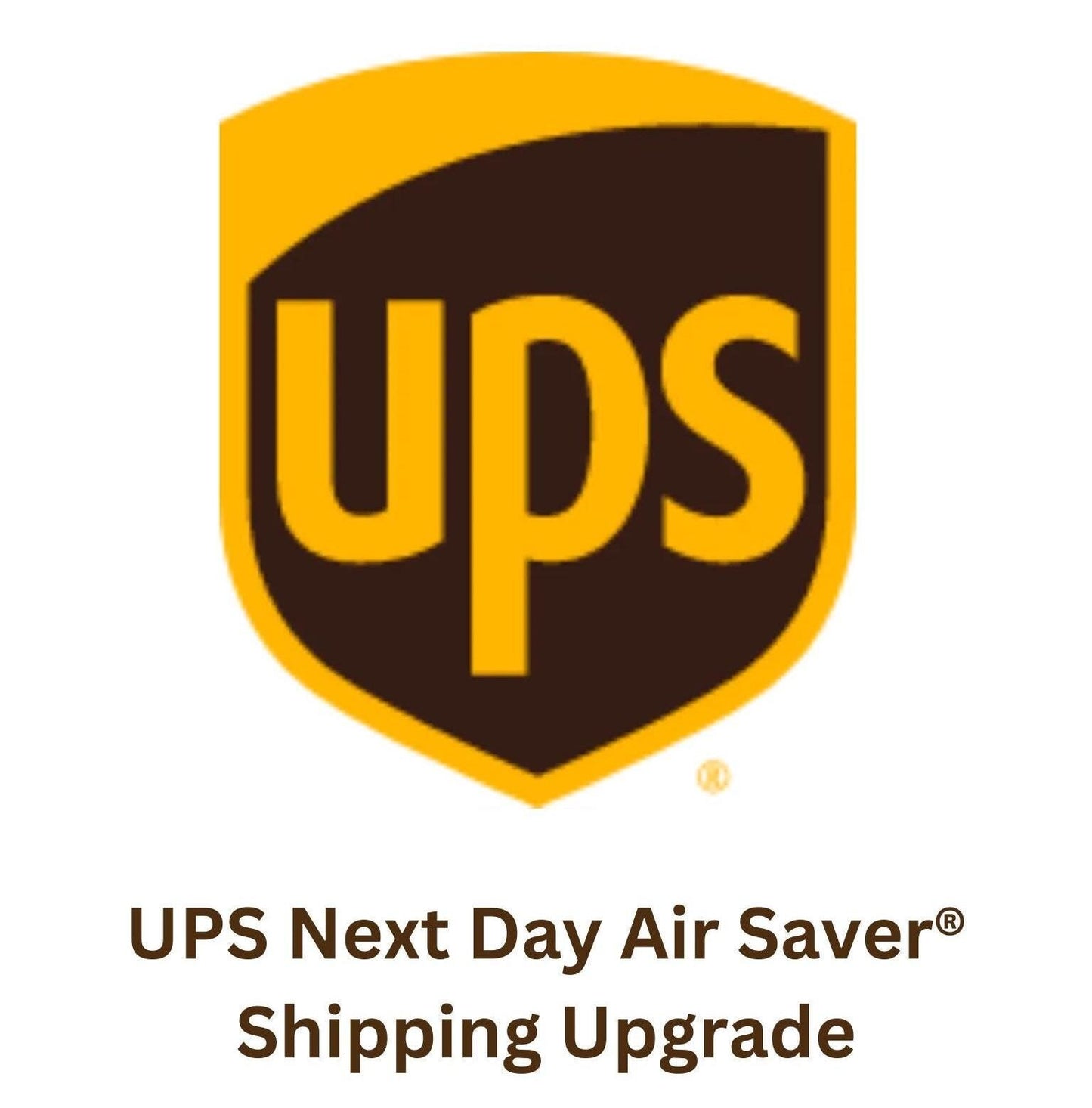 UPS Next Day Air Saver Shipping Upgrade for Angie