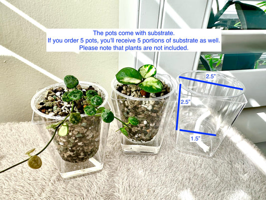 Clear PLASTIC Hand-made Self-Watering Pots 2.5" Come with Pon Substrate