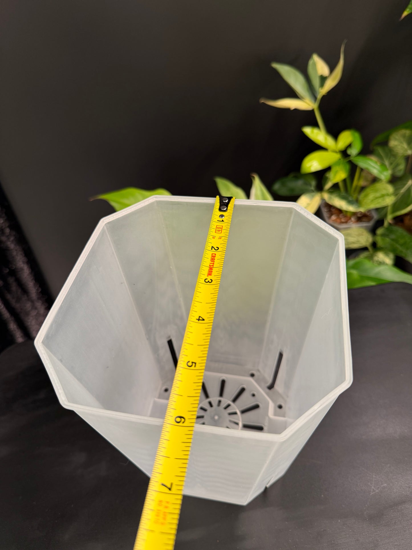 Clear Plastic Pot 4-Pack, 1 Size Each, Total 4 Pack