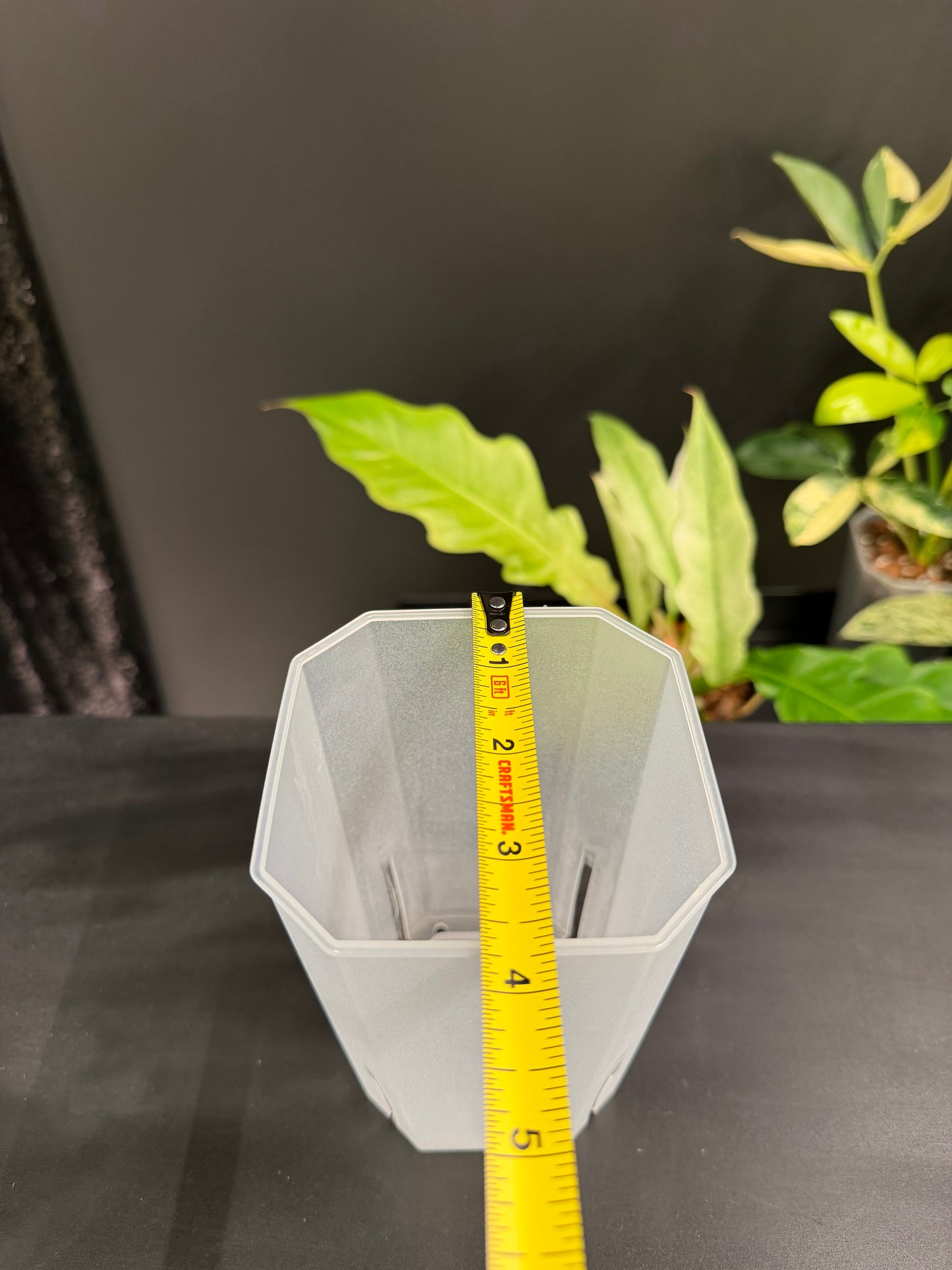 Clear Plastic Pot 4-Pack, 1 Size Each, Total 4 Pack