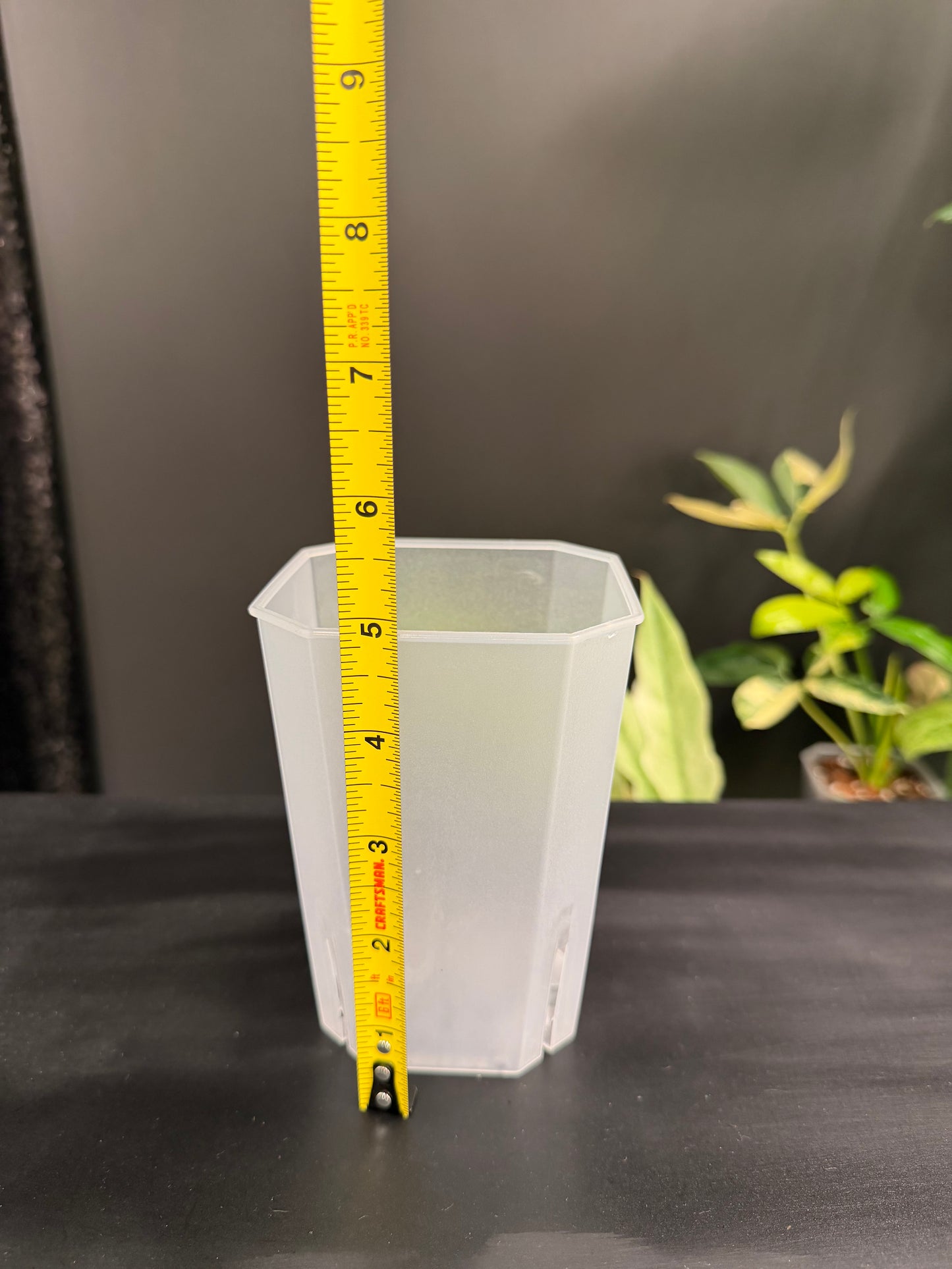 Clear Plastic Pot 4-Pack, 1 Size Each, Total 4 Pack