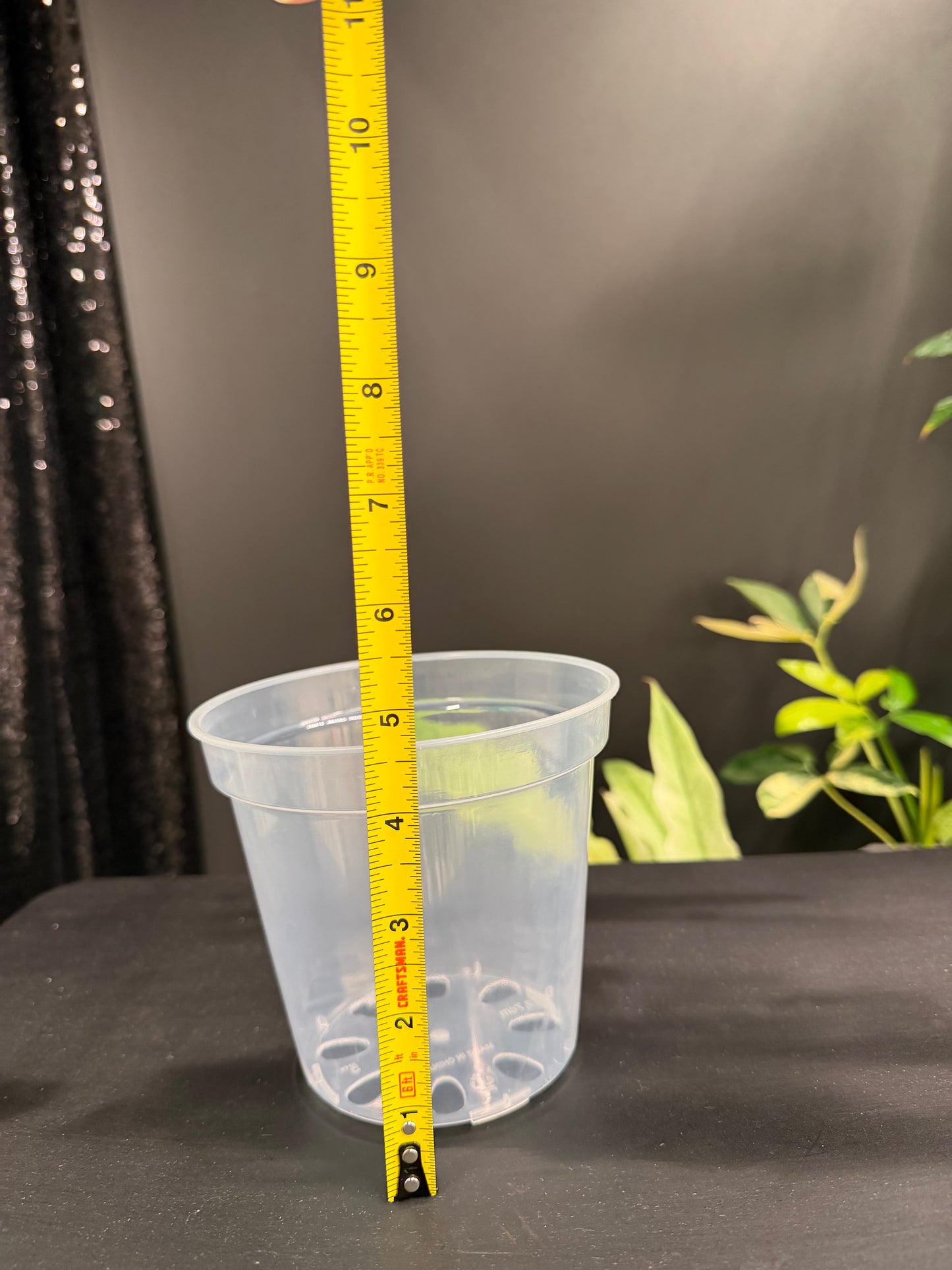 Clear Plastic Pot 5-Pack, 5 Inch, Total 5 Pots