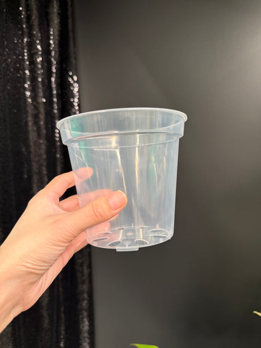 Clear Plastic Pot 5-Pack, 5 Inch, Total 5 Pots