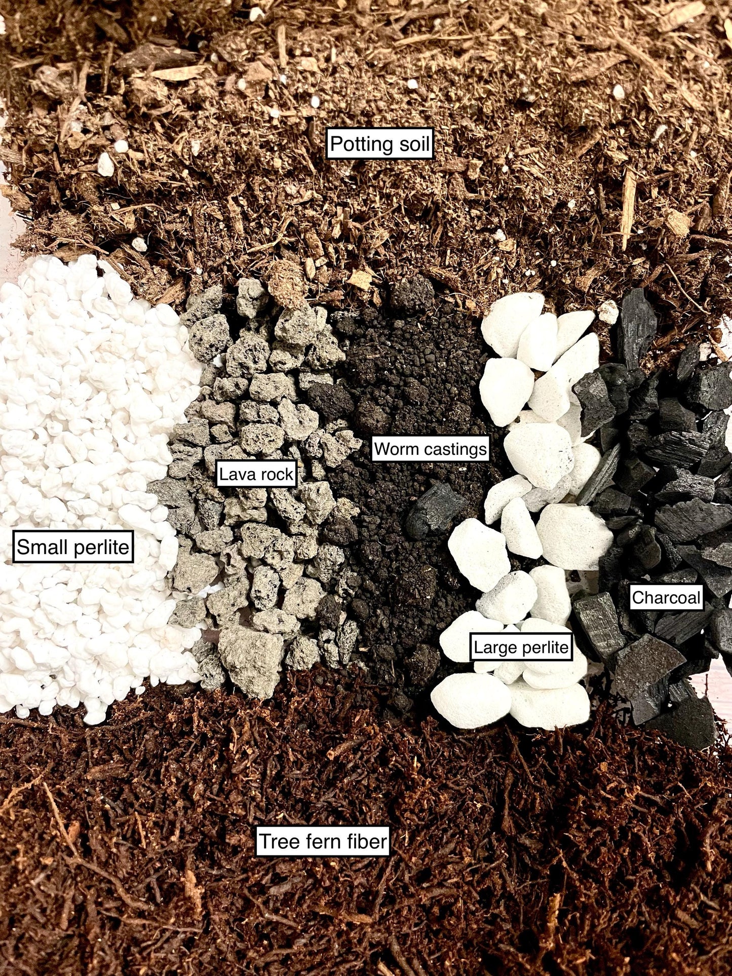 Tree Fern Fiber Soil Potting Mix(2 pots) for Anthurium Begonia Alocasia Hoya Propagation | Fill **Two 4" Pots**