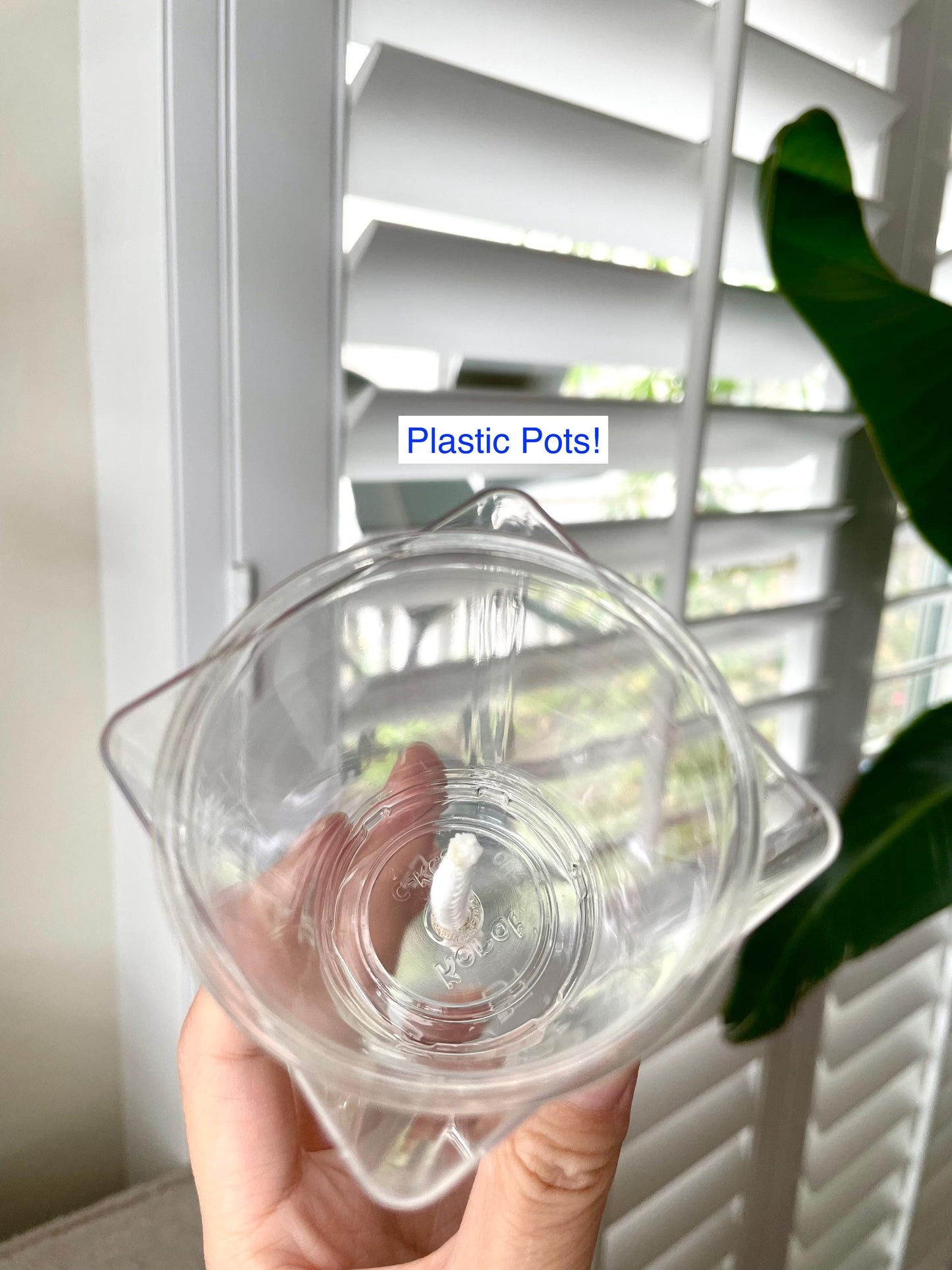 Clear PLASTIC Hand-made Self-Watering Pots 2.5"